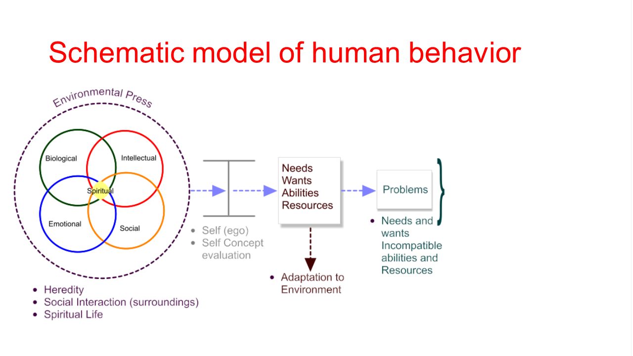 Human behavior